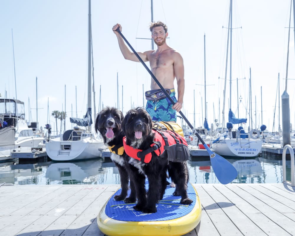Jordan Kahana Full Time Traveler and Ambassador for StorQuest Self Storage standing on a paddle board with his two very cute dogs in Santa Monica, California