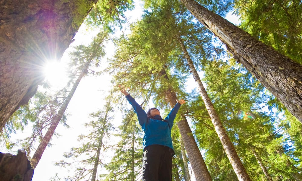 Woman in a forest for StorQuest Self Storage's One Tree Planted partnership