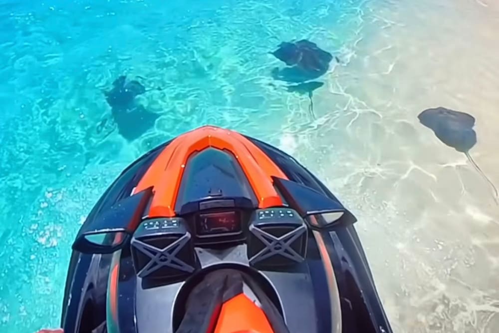 jet ski with rays under water