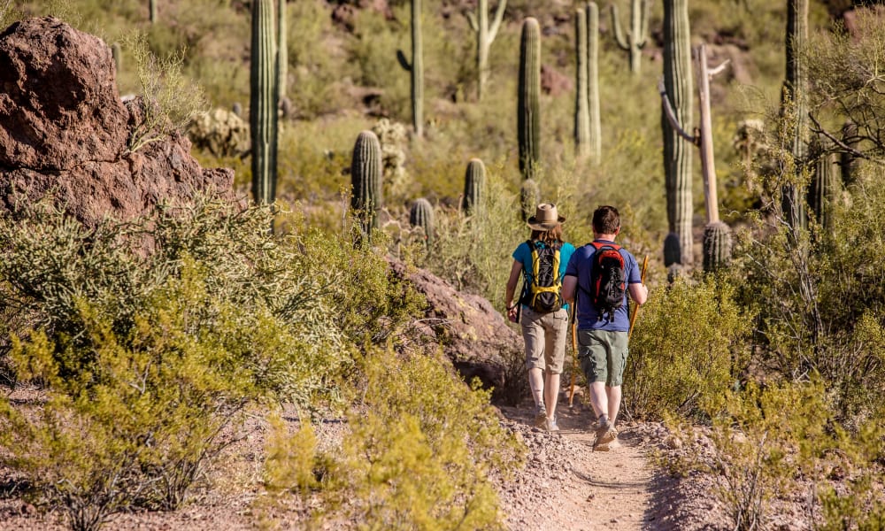 Two hikers in the desert for StorQuest Self Storage's partnership with Phoenix Parks Foundation